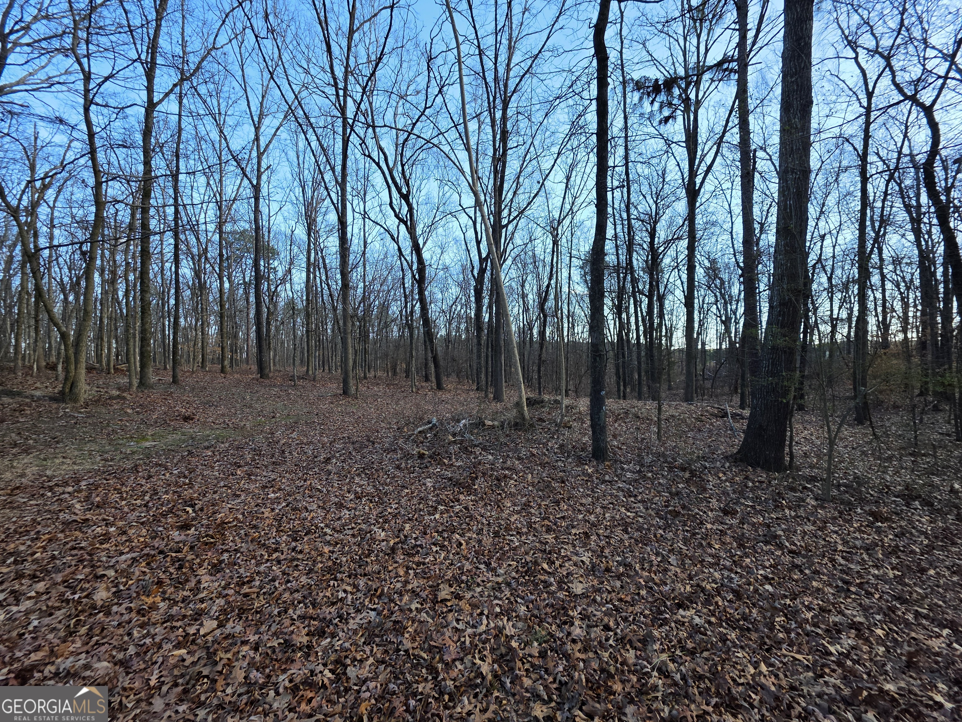 3879 Caney Head Road Franklin GA 30217