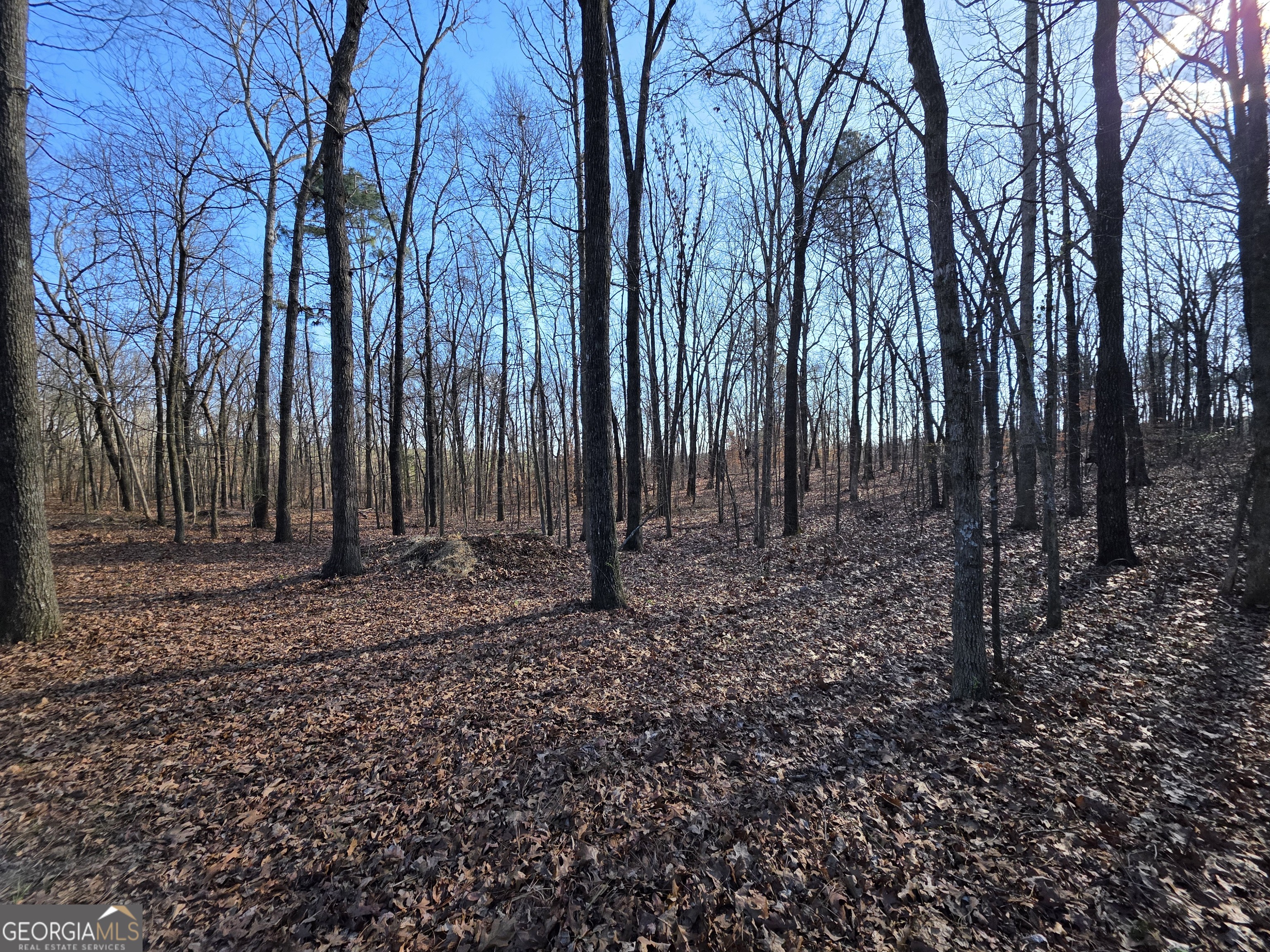 3879 Caney Head Road Franklin GA 30217