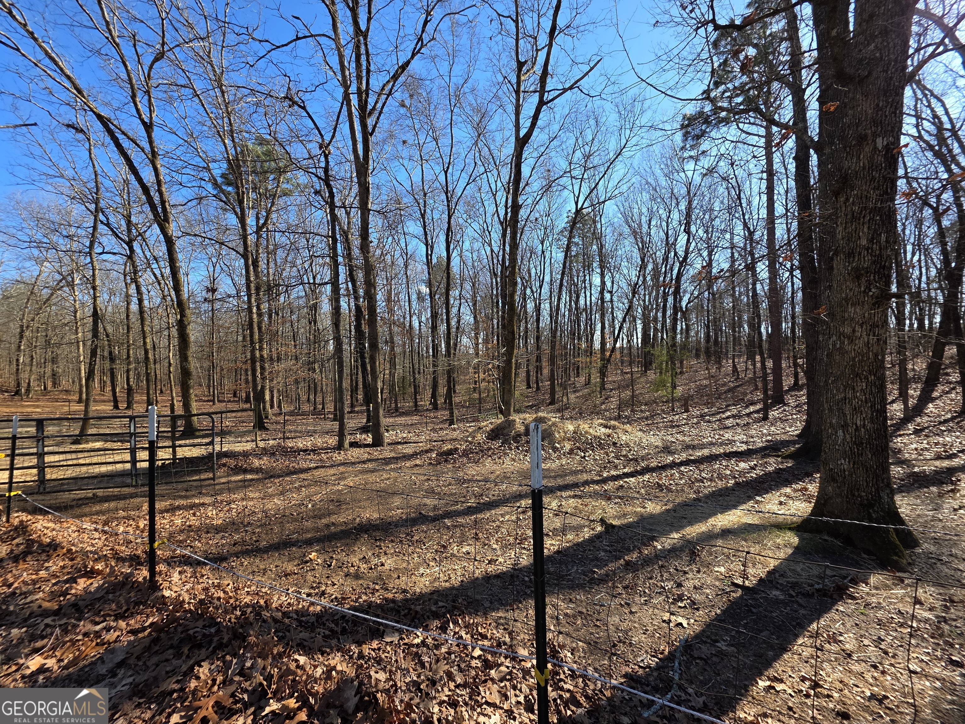 3879 Caney Head Road Franklin GA 30217