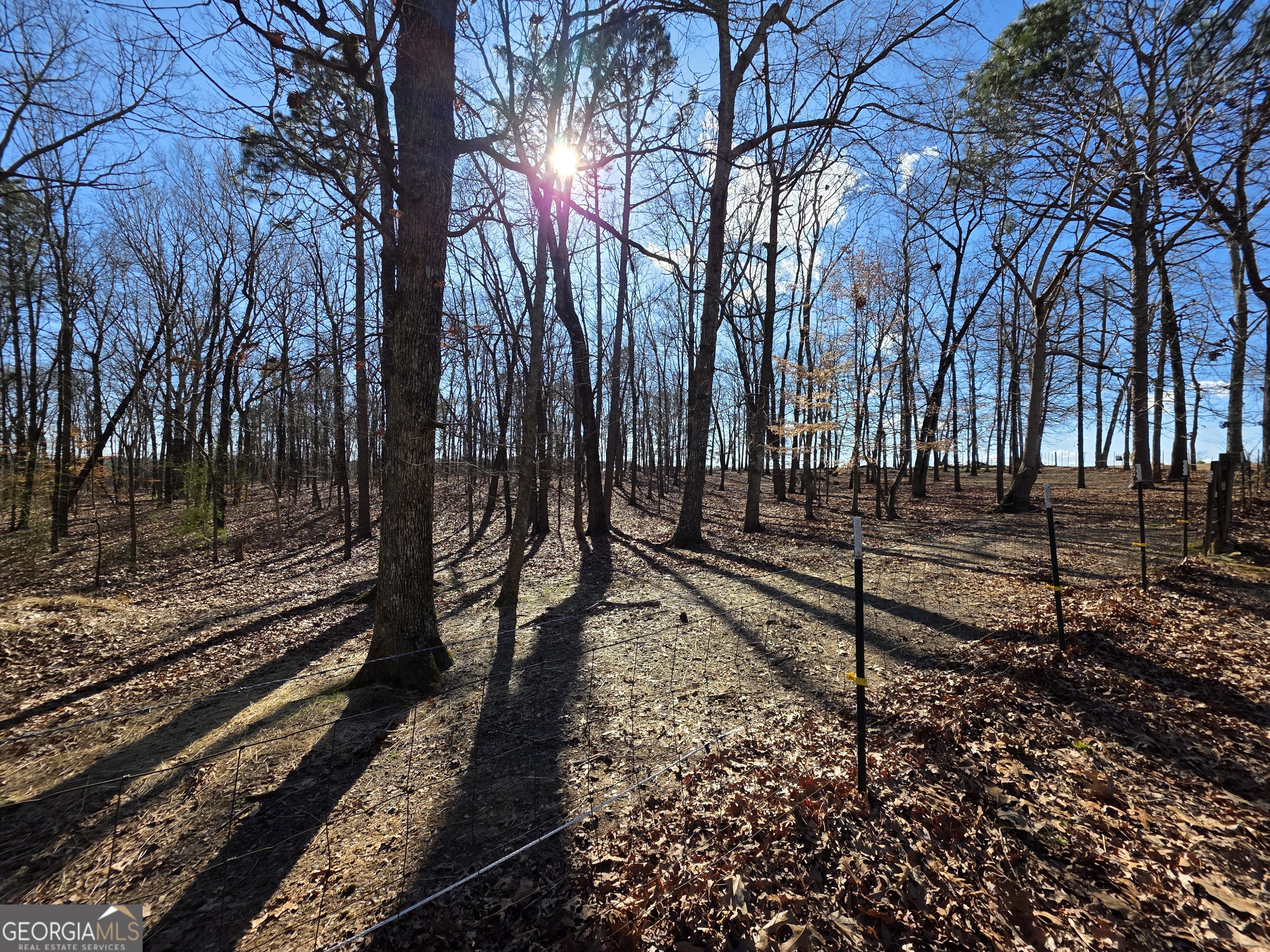 3879 Caney Head Road Franklin GA 30217