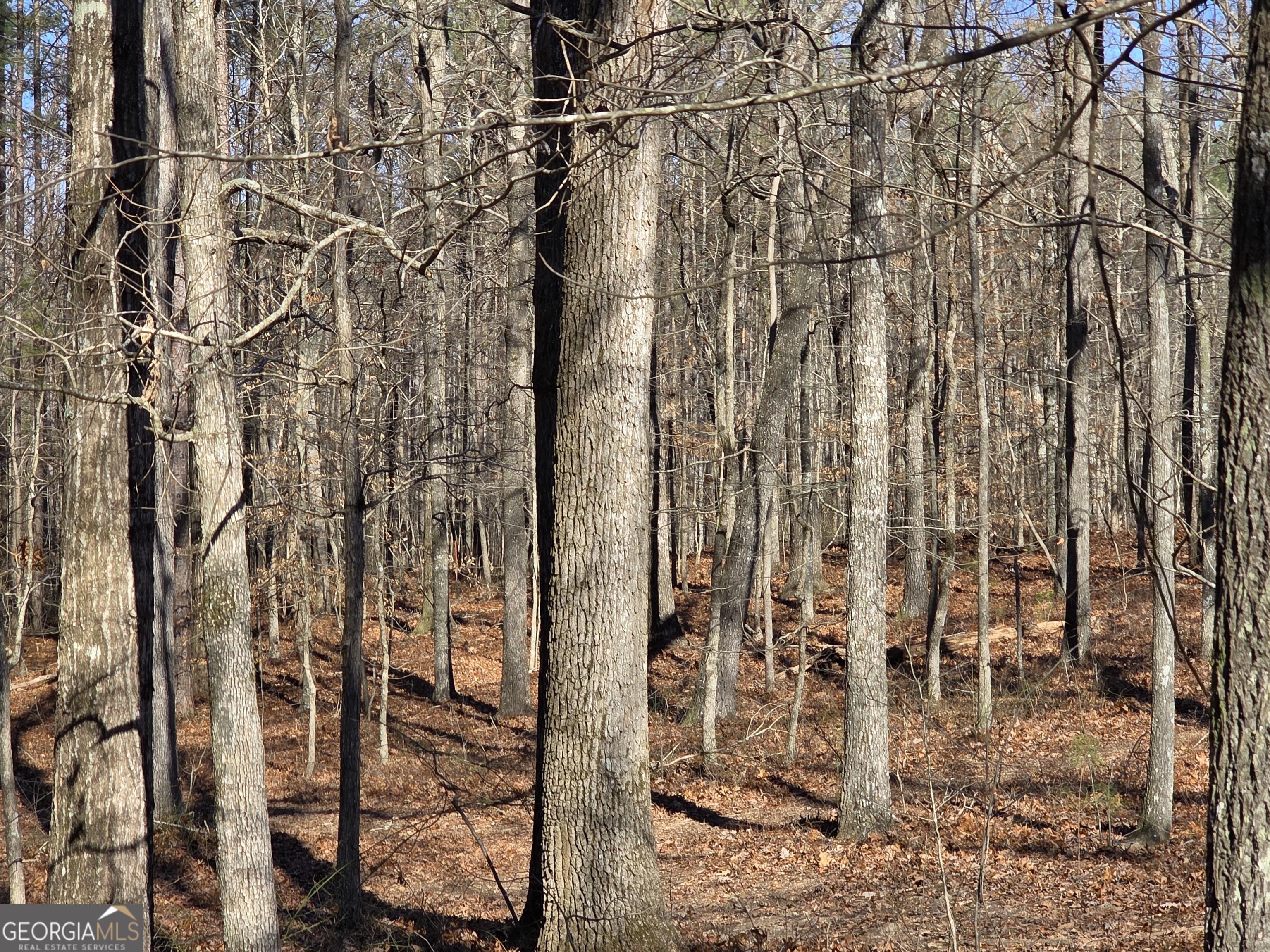 3879 Caney Head Road Franklin GA 30217