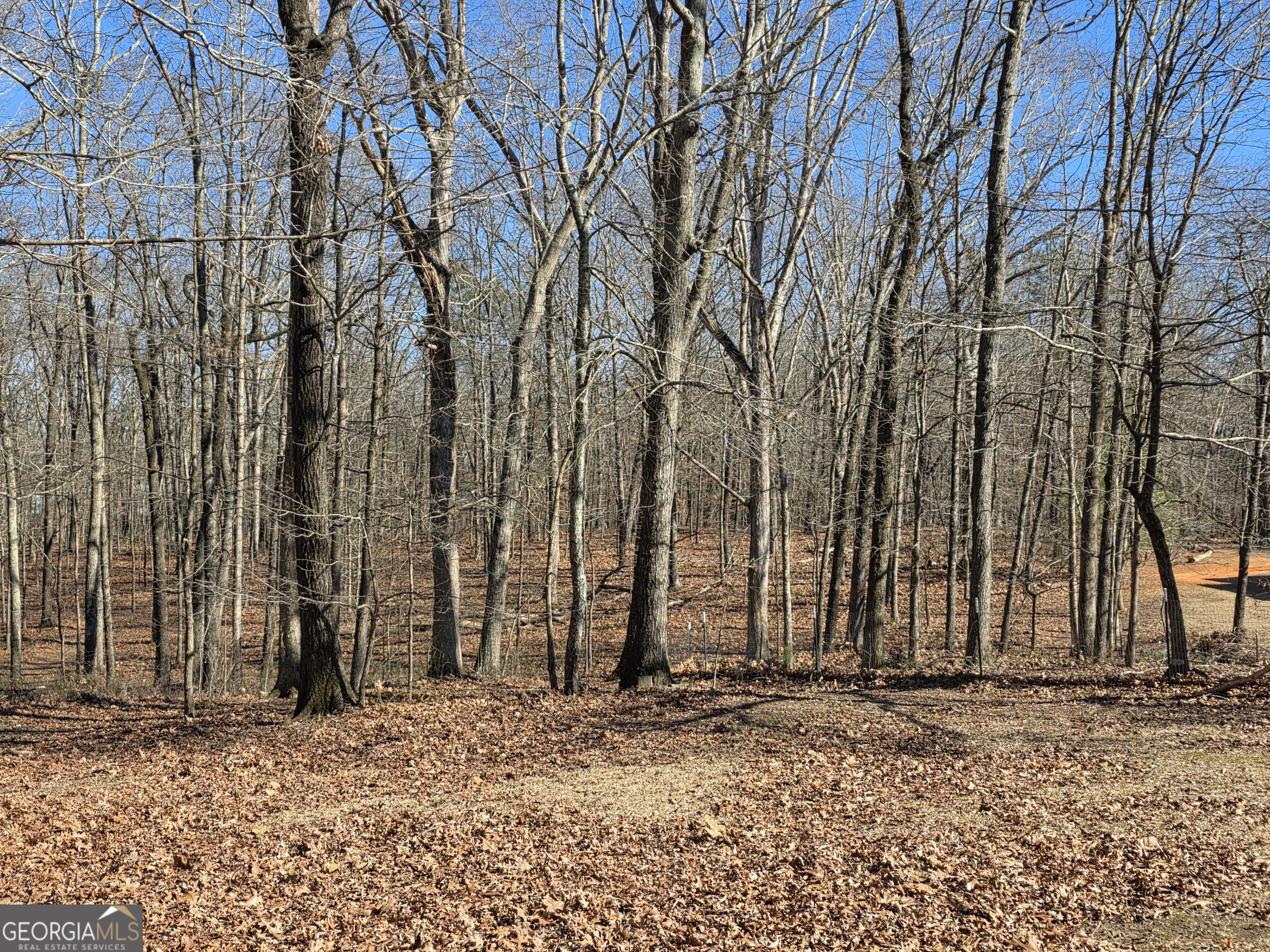 3879 Caney Head Road Franklin GA 30217