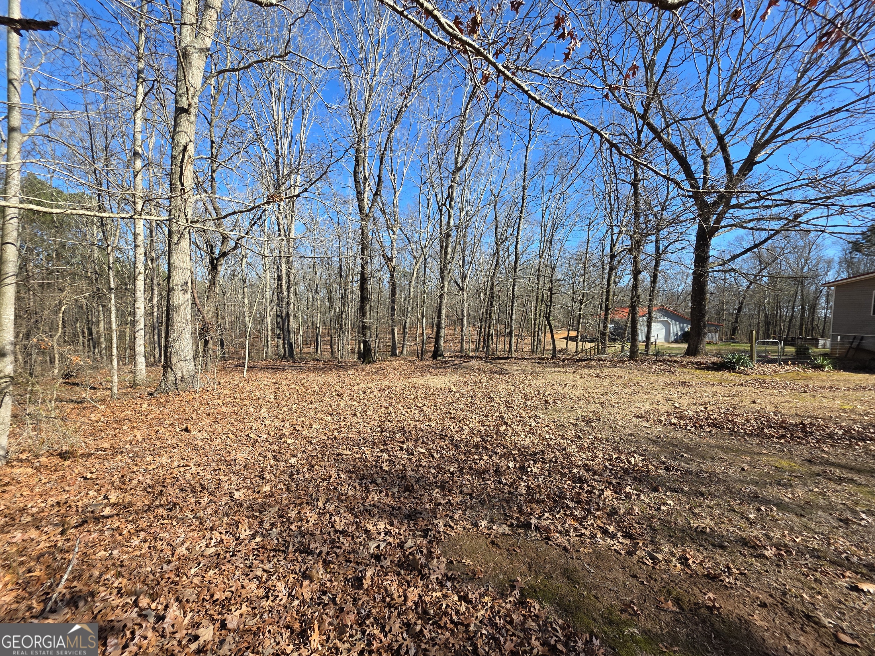 3879 Caney Head Road Franklin GA 30217