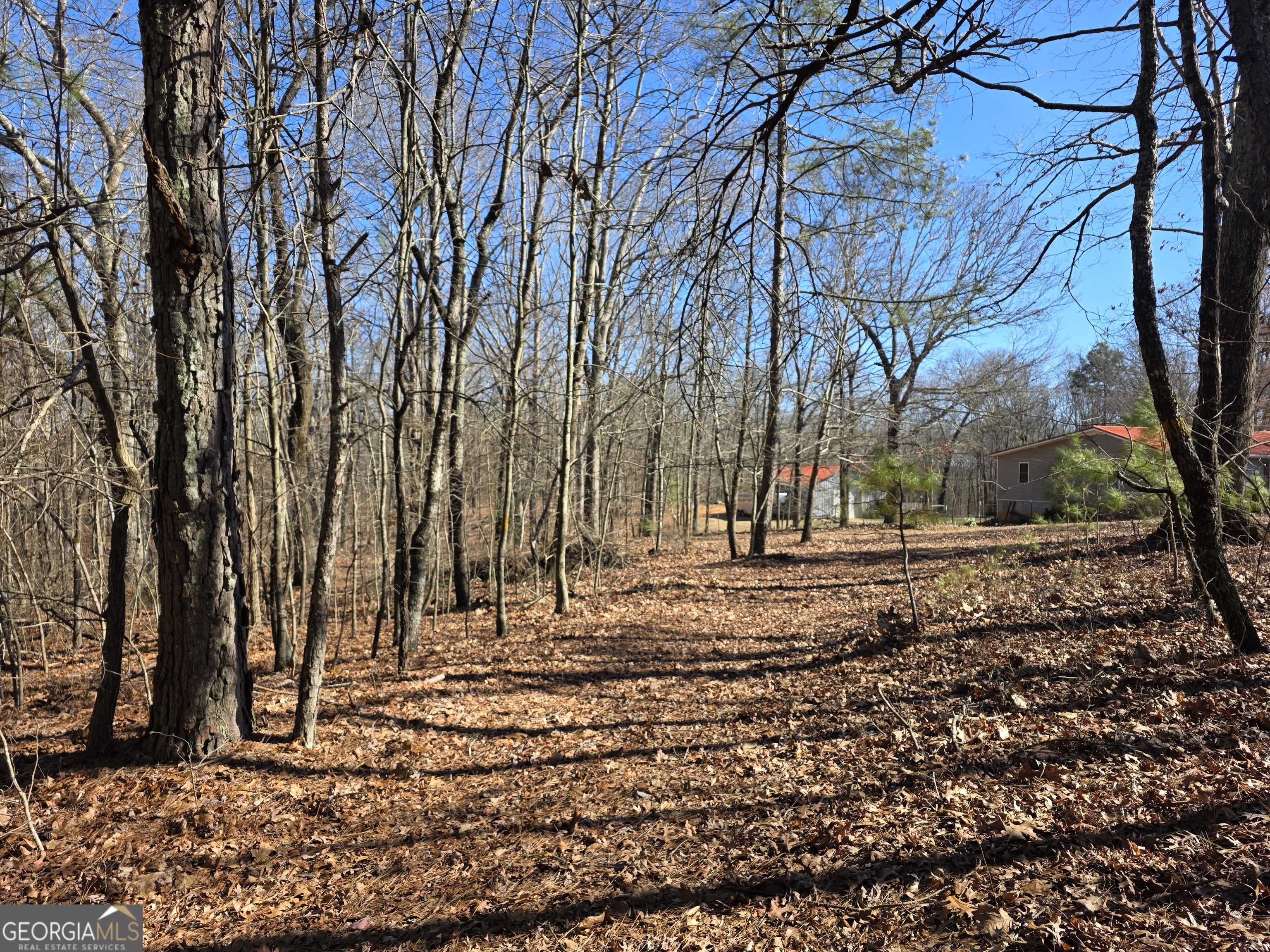 3879 Caney Head Road Franklin GA 30217