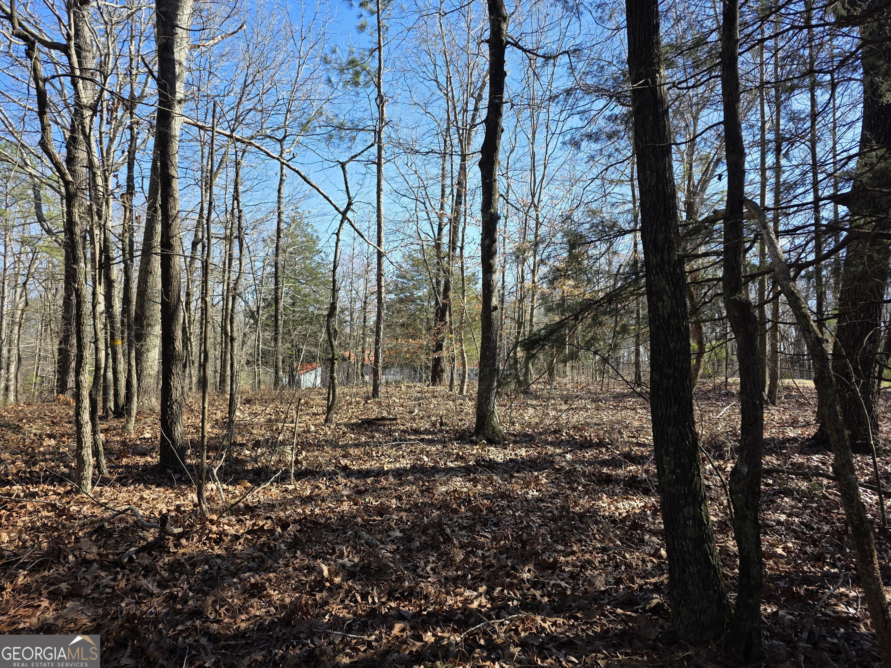 3879 Caney Head Road Franklin GA 30217