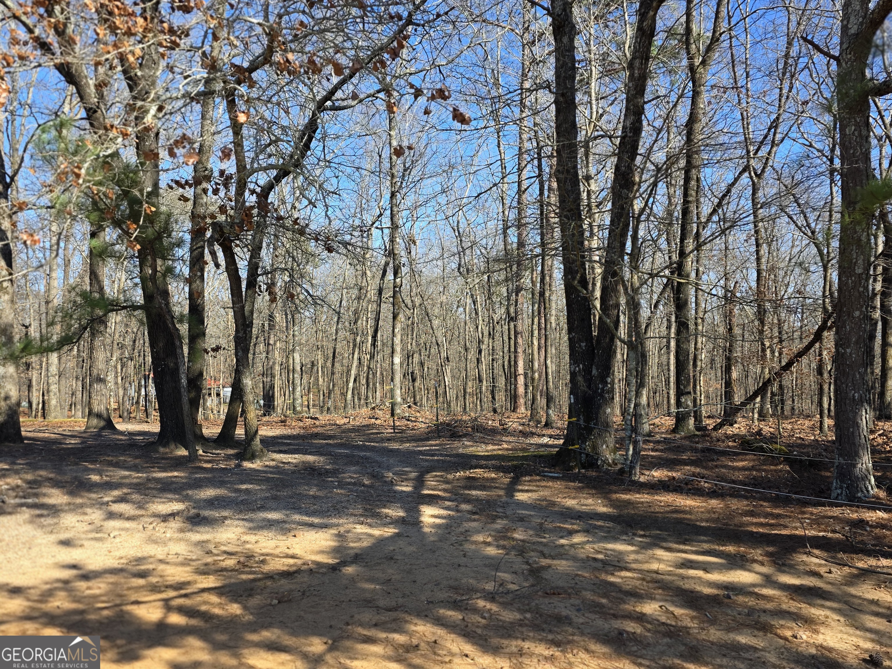 3879 Caney Head Road Franklin GA 30217