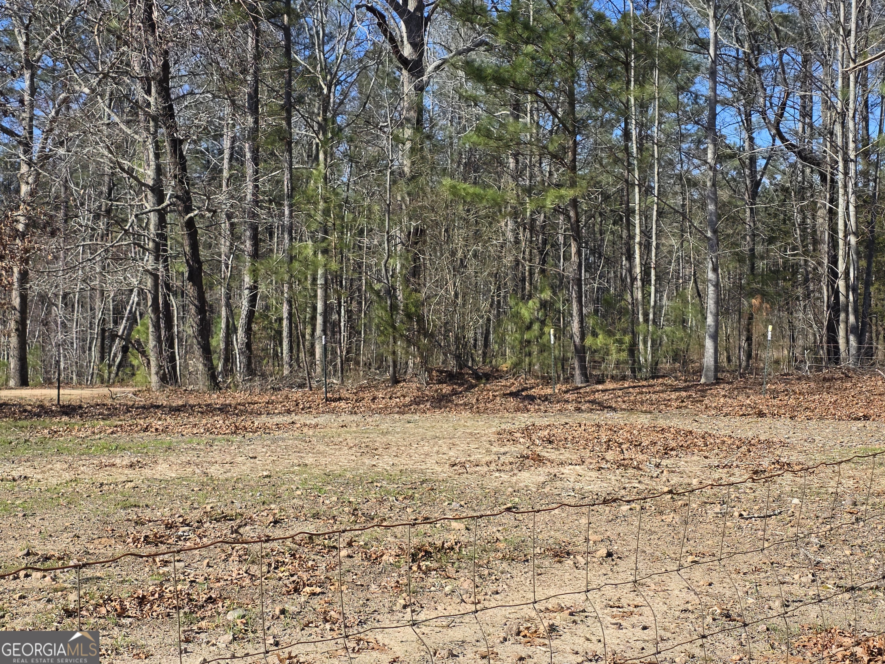 3879 Caney Head Road Franklin GA 30217