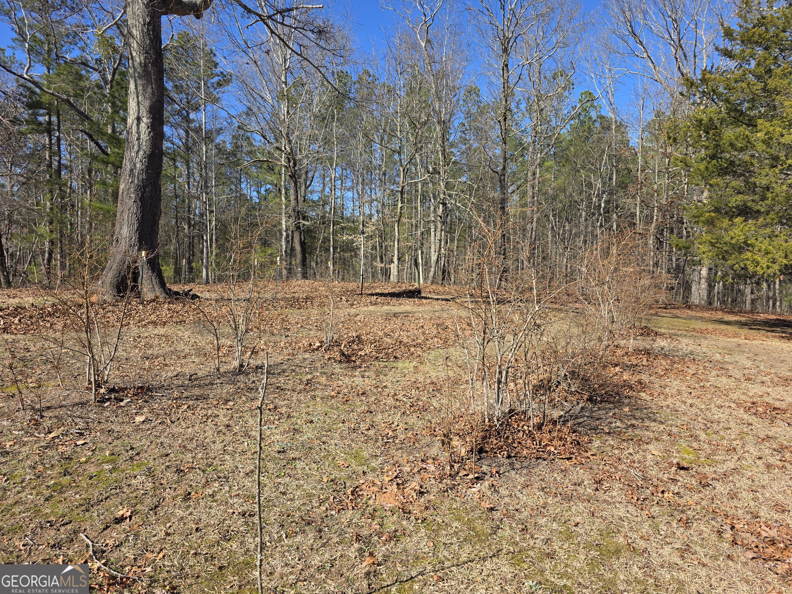 3879 Caney Head Road Franklin GA 30217