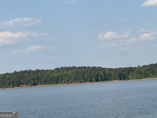 4350 Key Club Drive Elberton GA 30635
