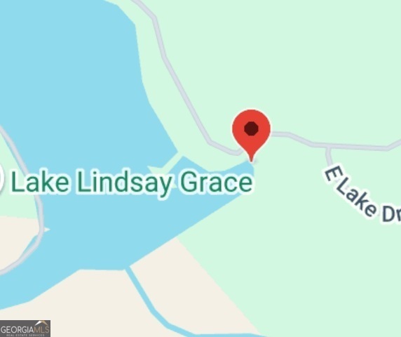 1435 E Lake Drive Screven GA 31560