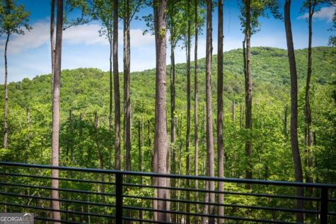 172 Grand Oaks Trail Morganton GA 30560