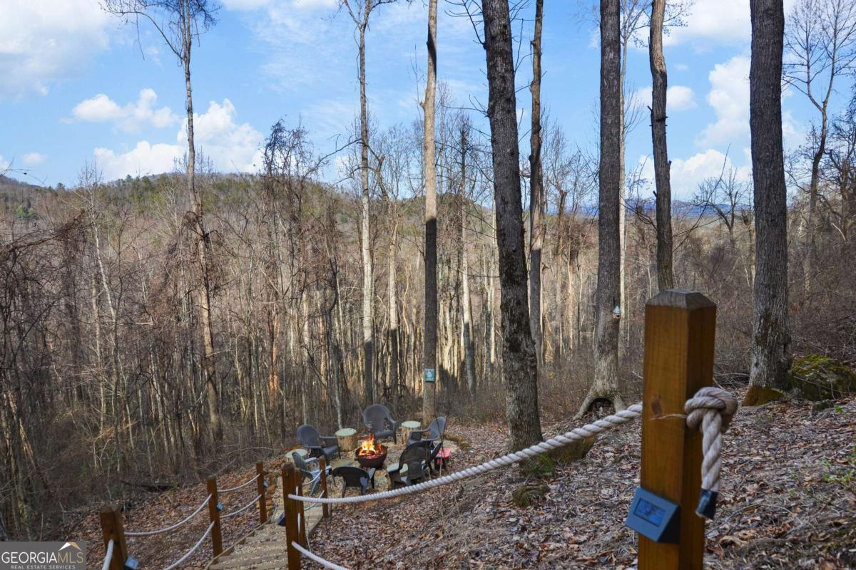 401 Dancing Leaves Trail Blue Ridge GA 30513