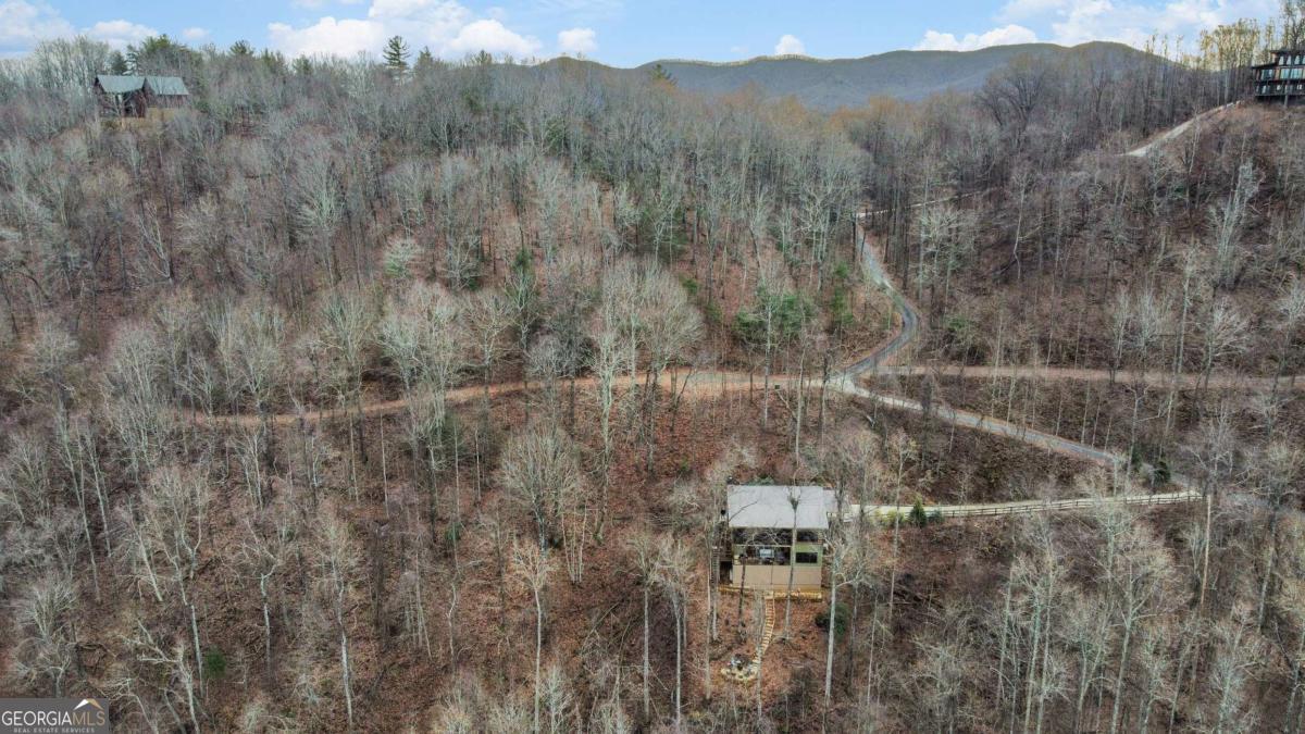 401 Dancing Leaves Trail Blue Ridge GA 30513