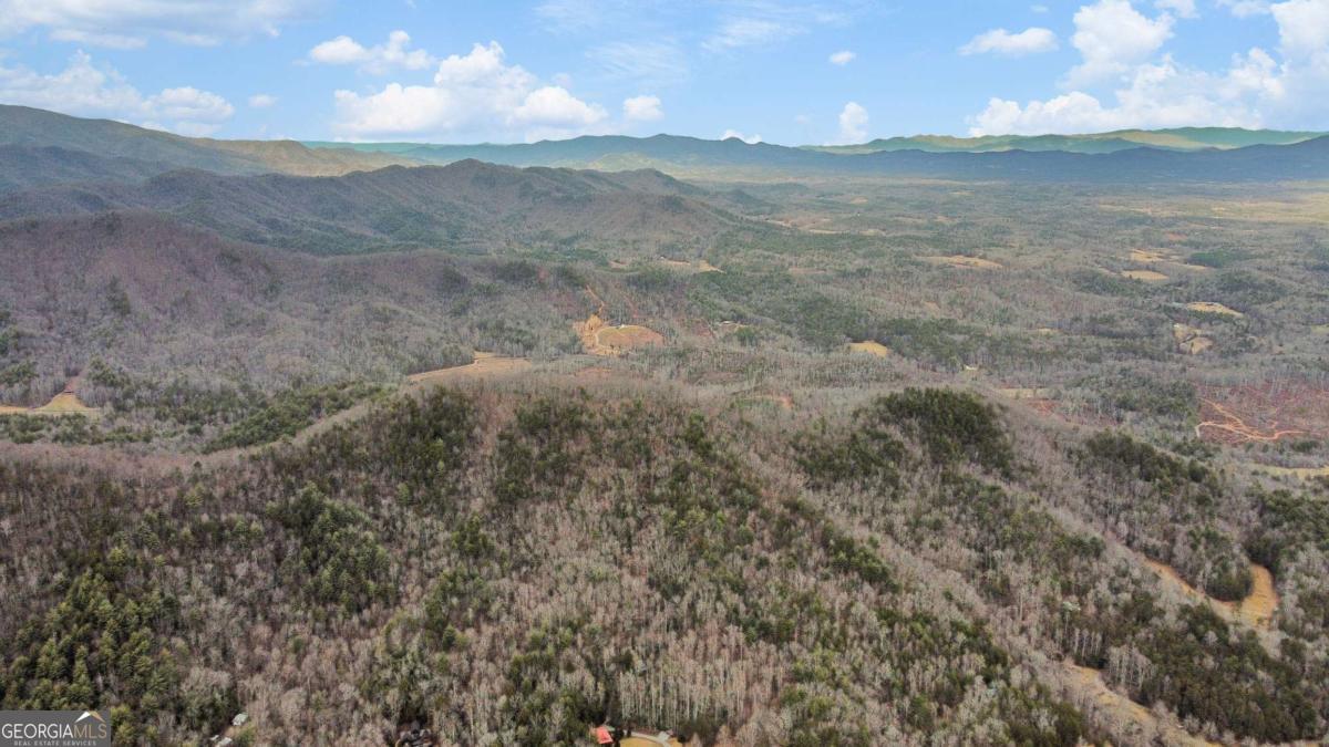 401 Dancing Leaves Trail Blue Ridge GA 30513