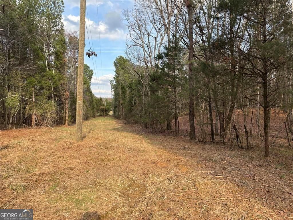 292 Shirley Road SE Ranger GA 30734