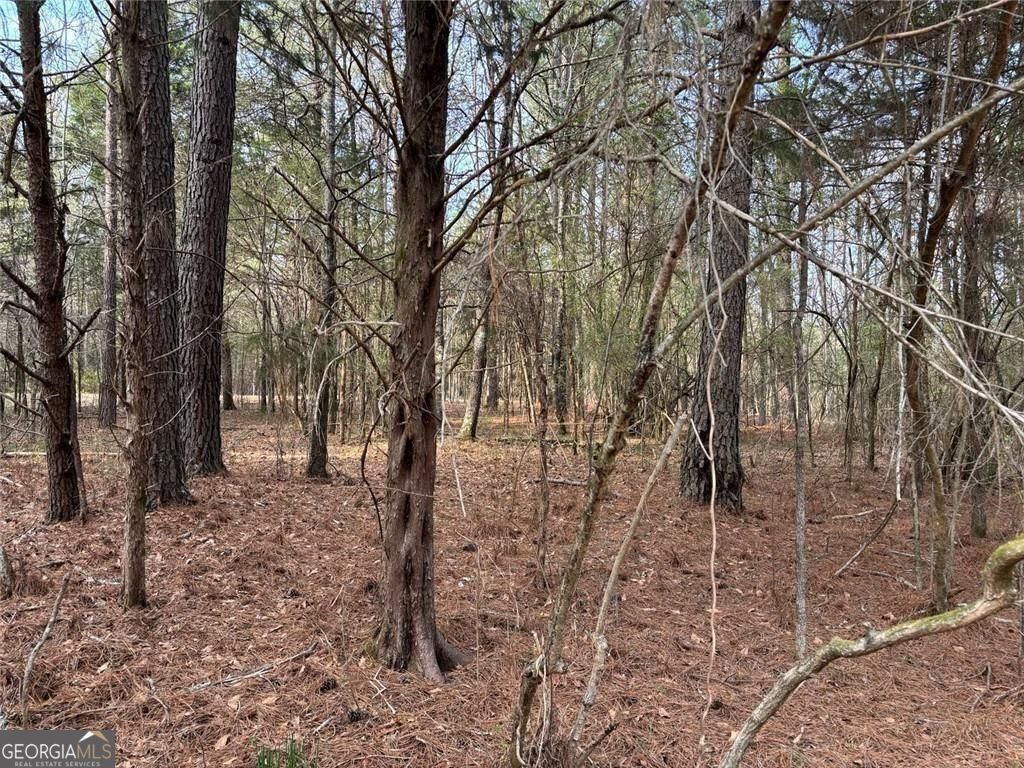 292 Shirley Road SE Ranger GA 30734