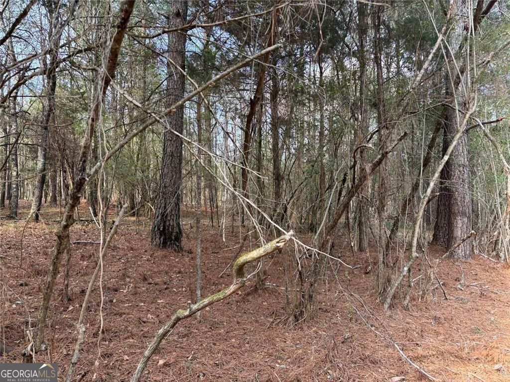 292 Shirley Road SE Ranger GA 30734