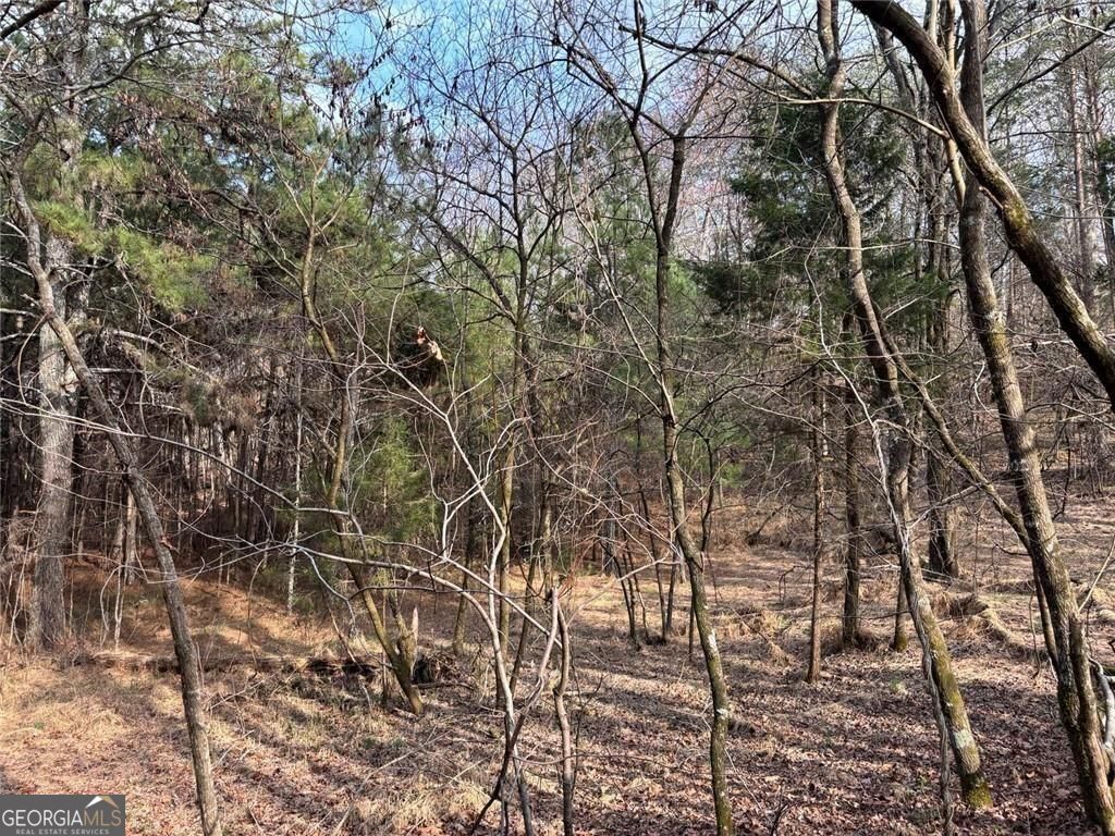 292 Shirley Road SE Ranger GA 30734