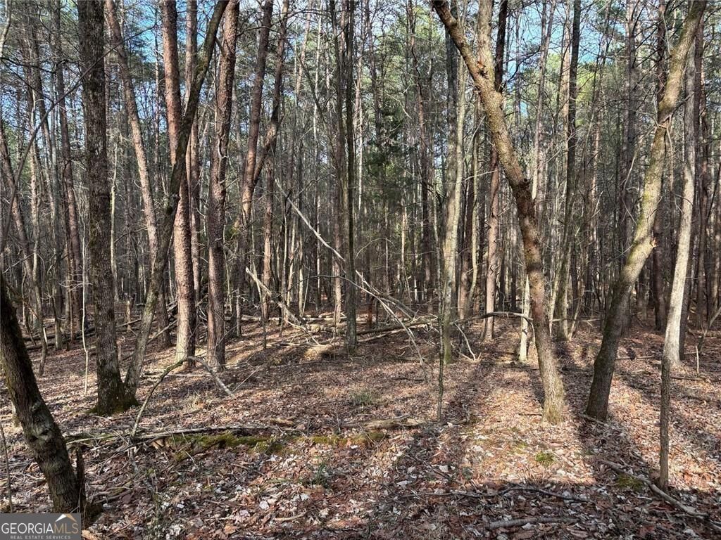 292 Shirley Road SE Ranger GA 30734
