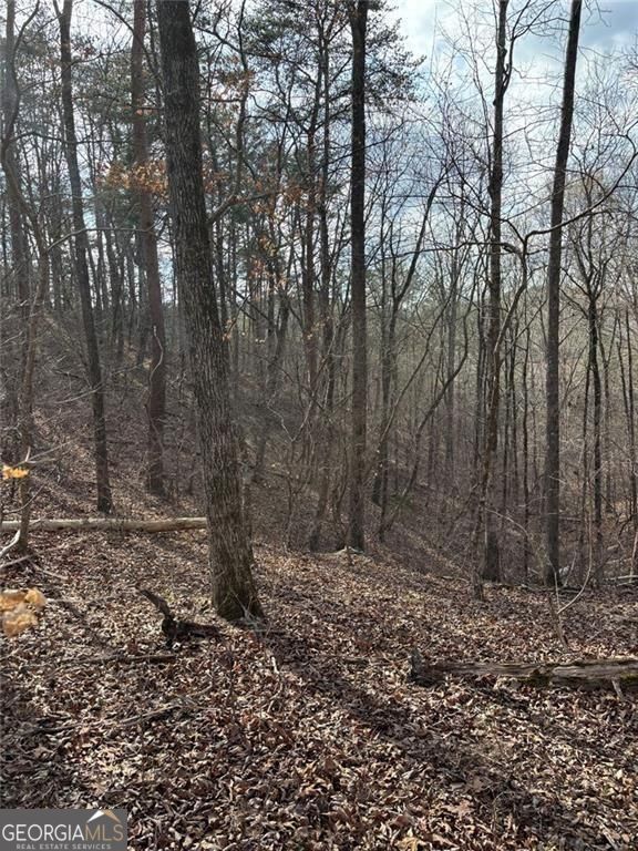 292 Shirley Road SE Ranger GA 30734