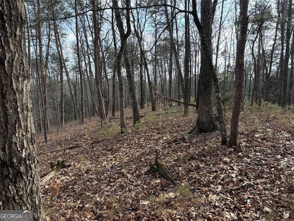 292 Shirley Road SE Ranger GA 30734