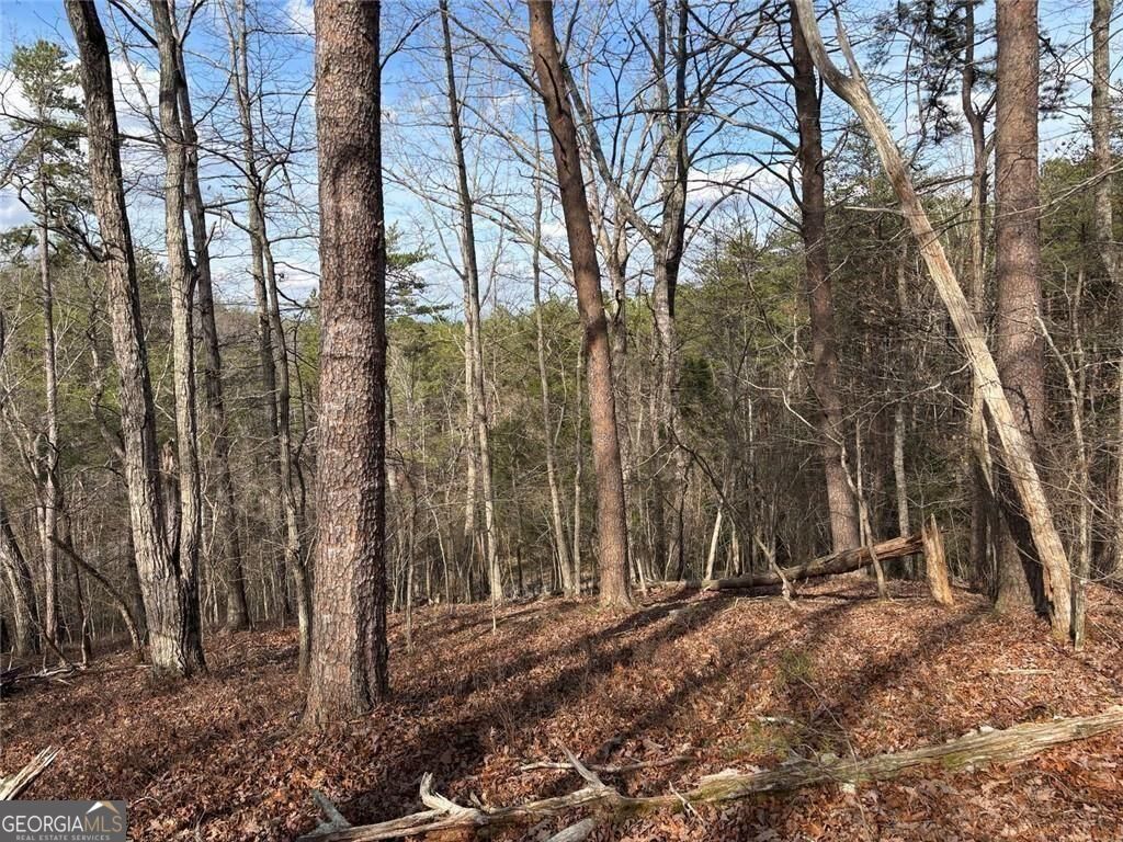 292 Shirley Road SE Ranger GA 30734