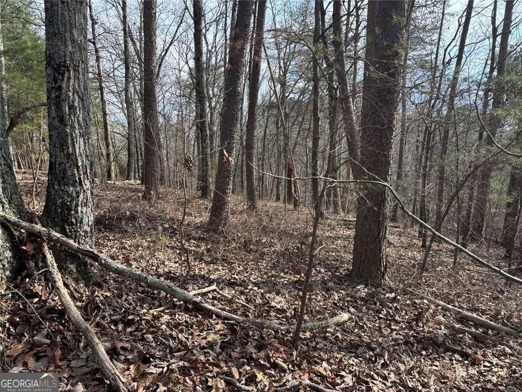 292 Shirley Road SE Ranger GA 30734