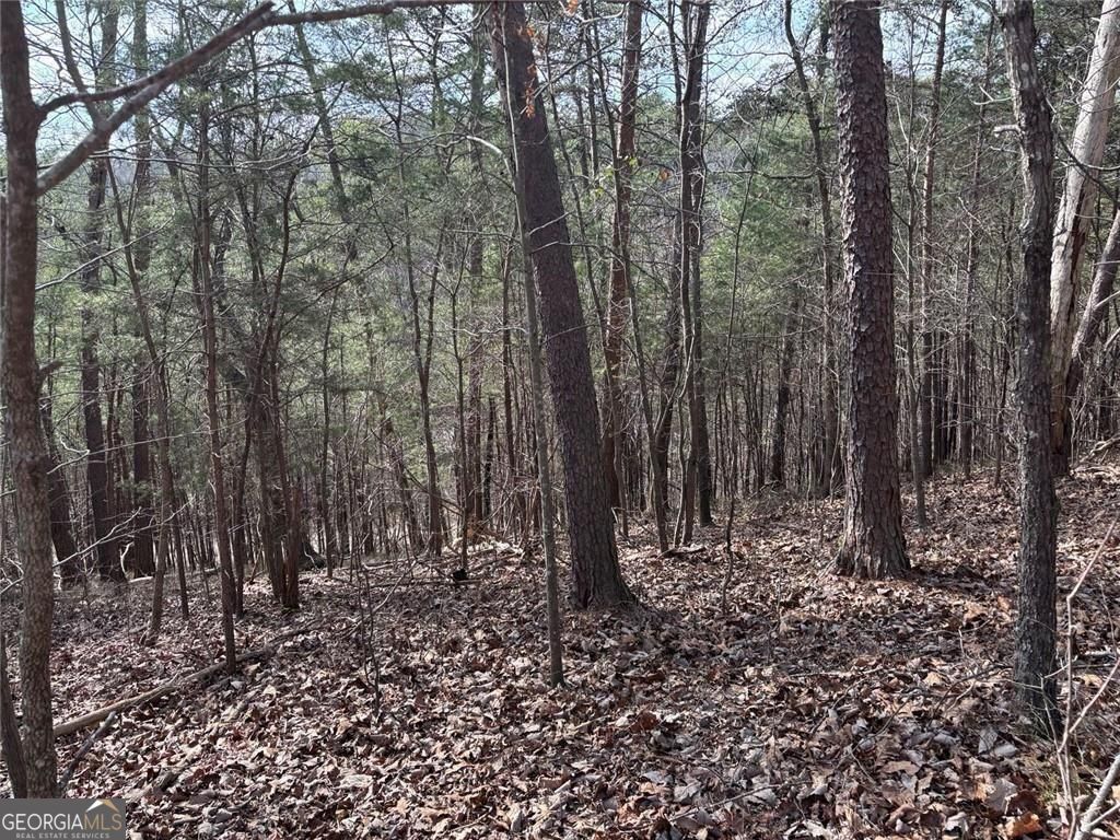 292 Shirley Road SE Ranger GA 30734