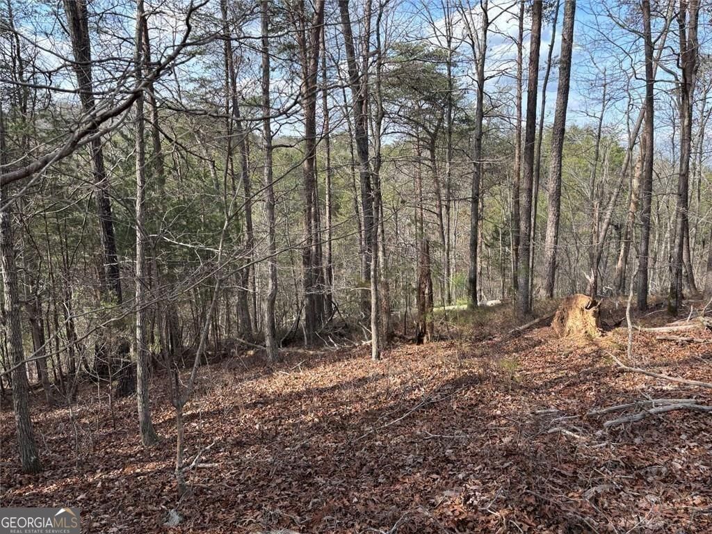 292 Shirley Road SE Ranger GA 30734