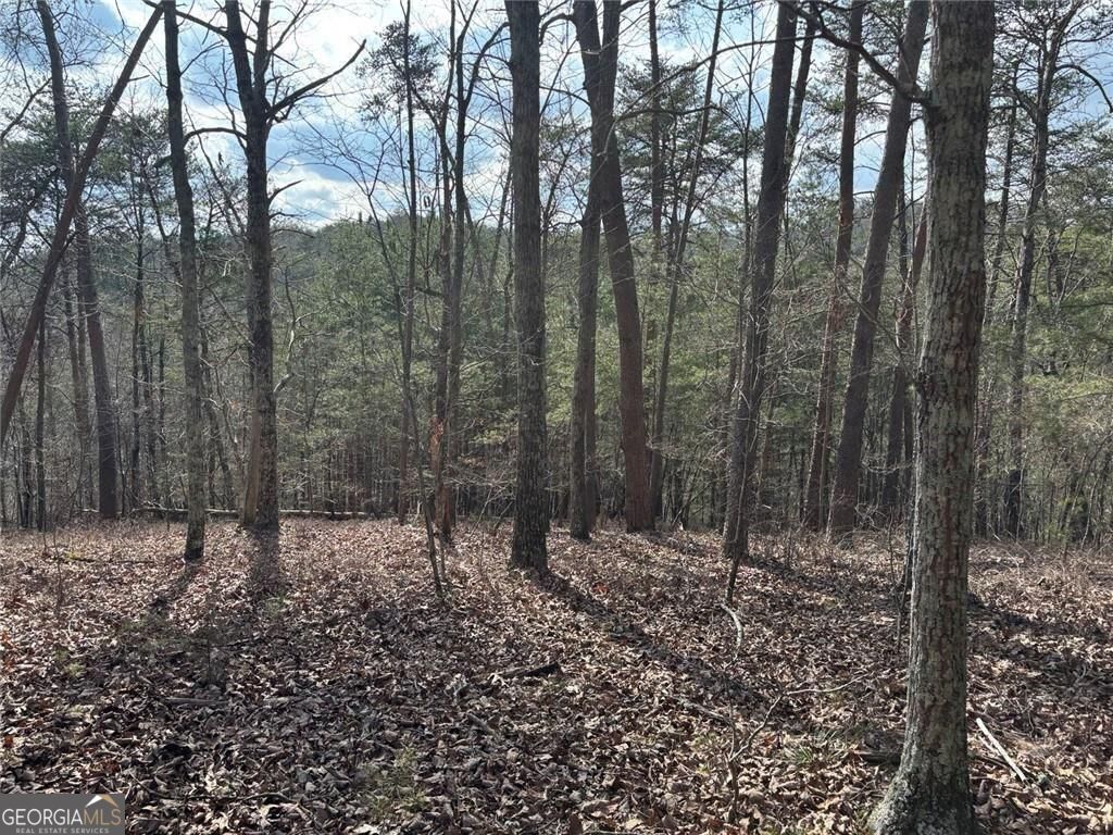 292 Shirley Road SE Ranger GA 30734