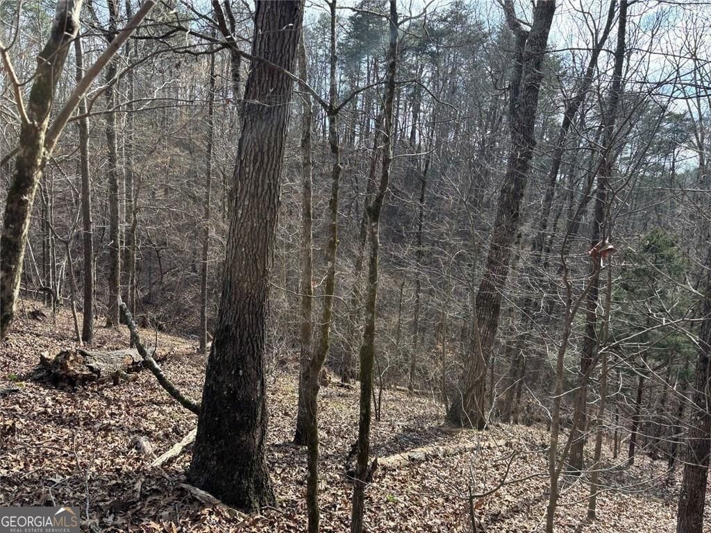 292 Shirley Road SE Ranger GA 30734