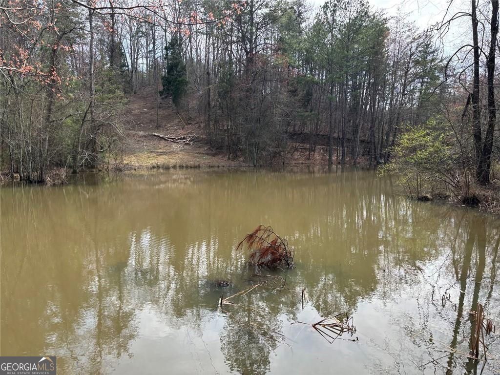 292 Shirley Road SE Ranger GA 30734