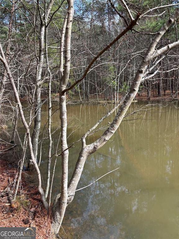 292 Shirley Road SE Ranger GA 30734