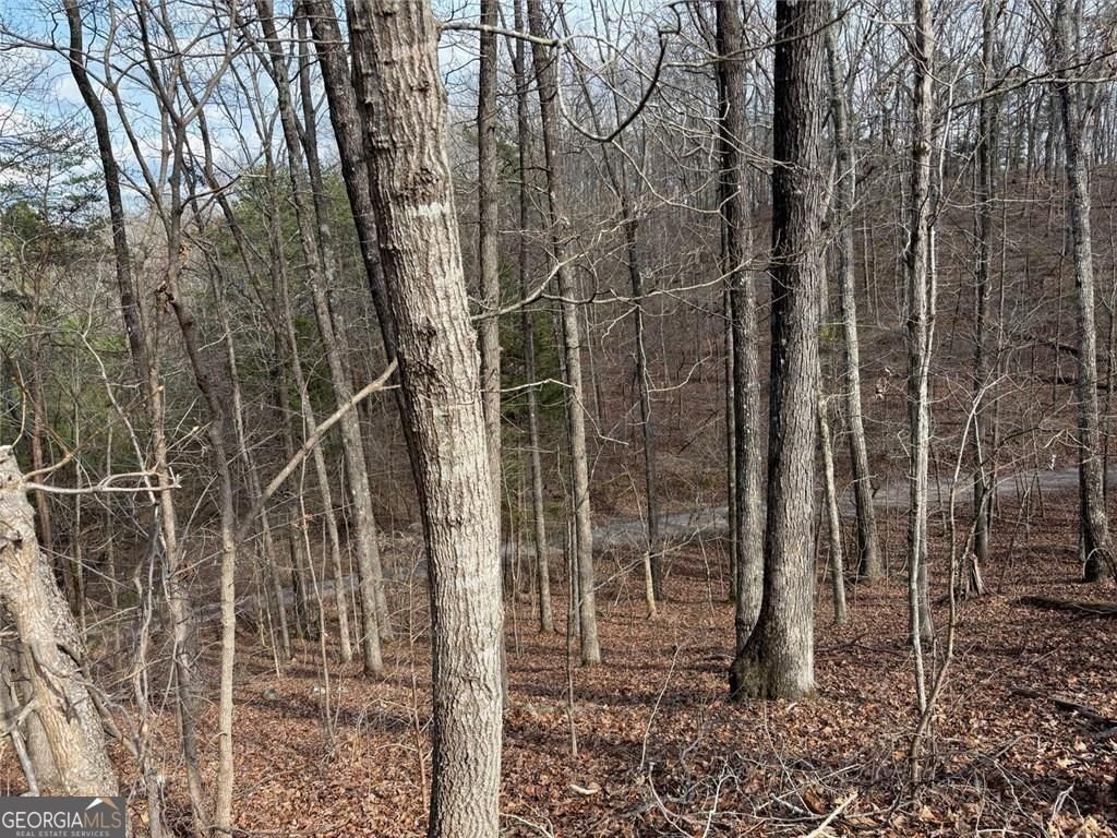 292 Shirley Road SE Ranger GA 30734