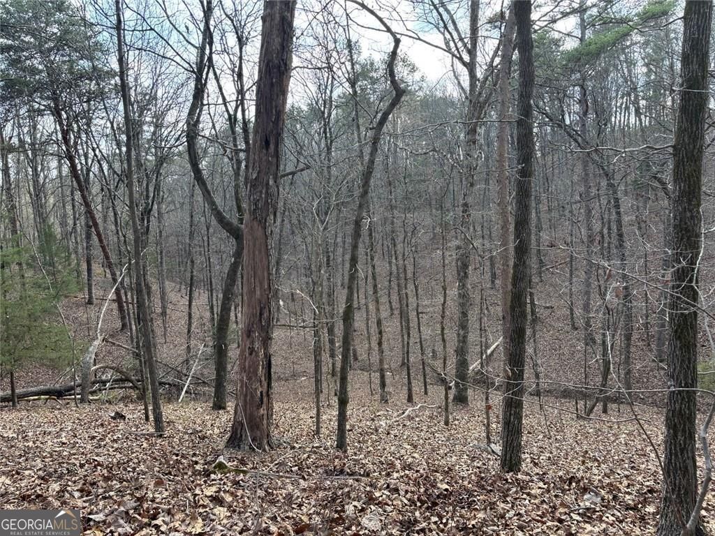 292 Shirley Road SE Ranger GA 30734