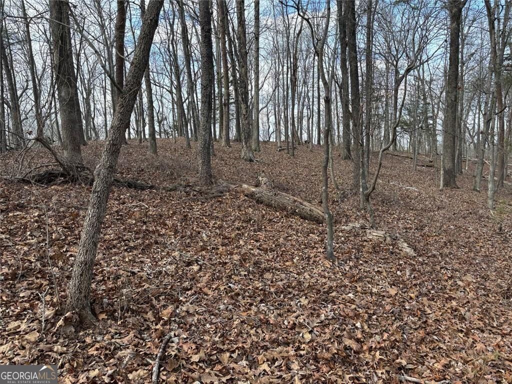 292 Shirley Road SE Ranger GA 30734