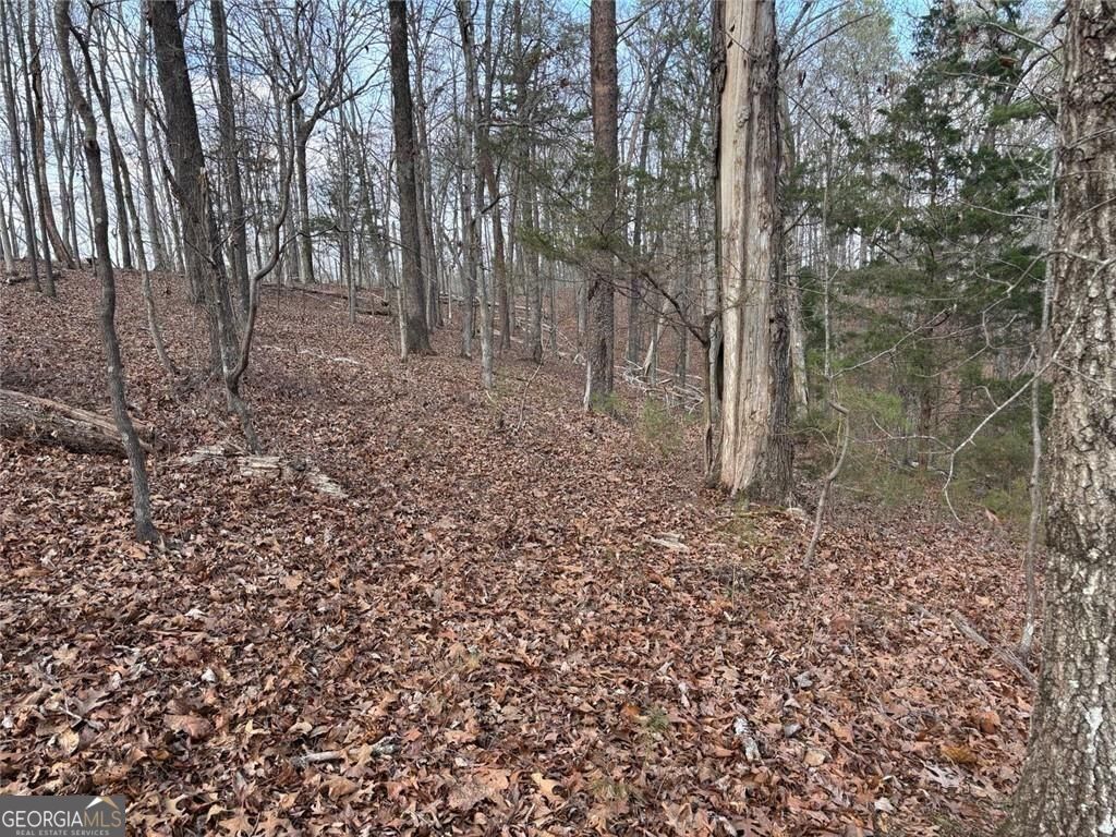 292 Shirley Road SE Ranger GA 30734