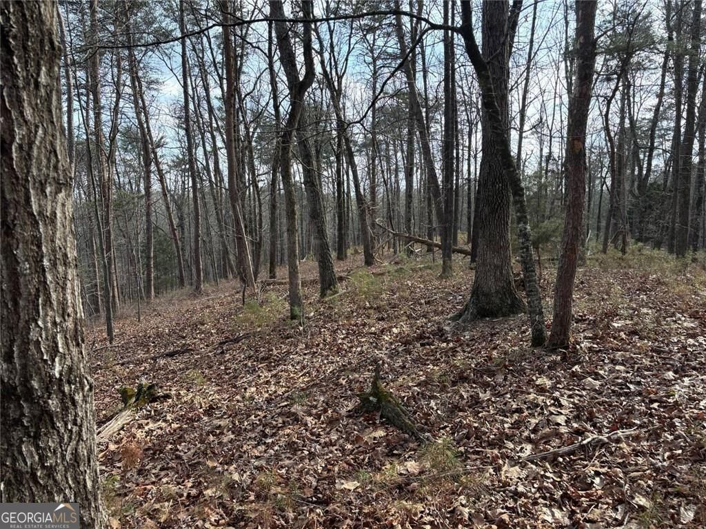 292 Shirley Road SE Ranger GA 30734