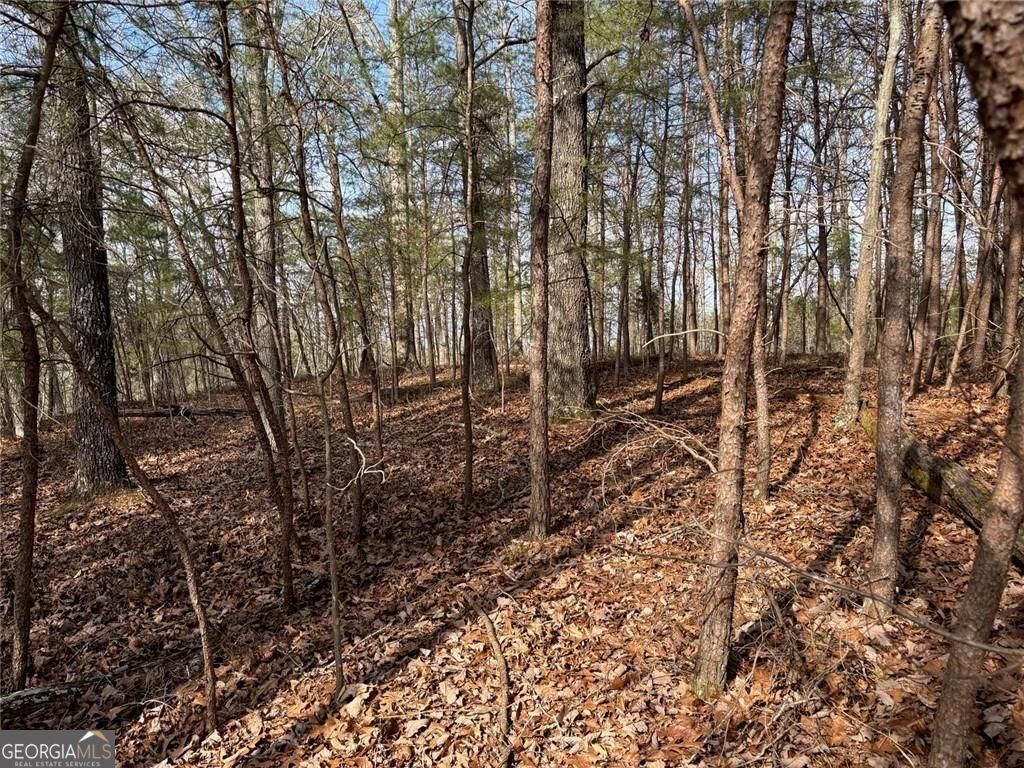 292 Shirley Road SE Ranger GA 30734