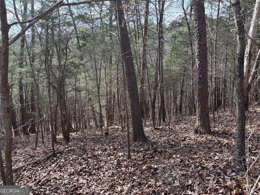 292 Shirley Road SE Ranger GA 30734