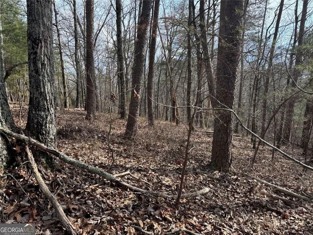 292 Shirley Road SE Ranger GA 30734