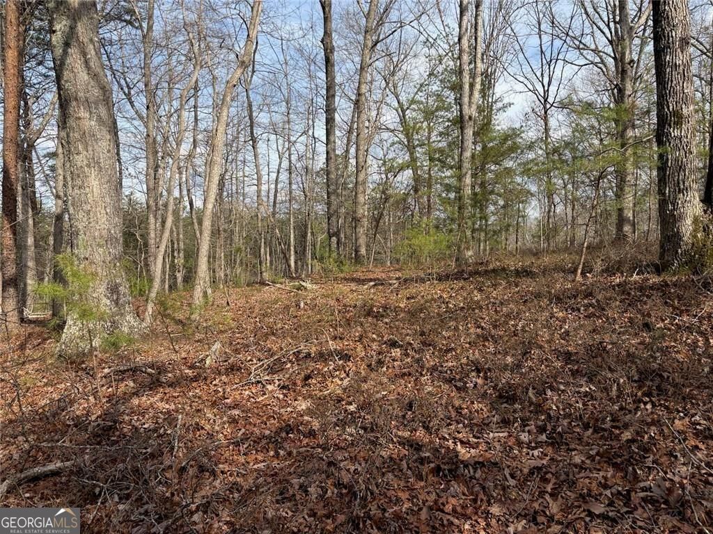 292 Shirley Road SE Ranger GA 30734