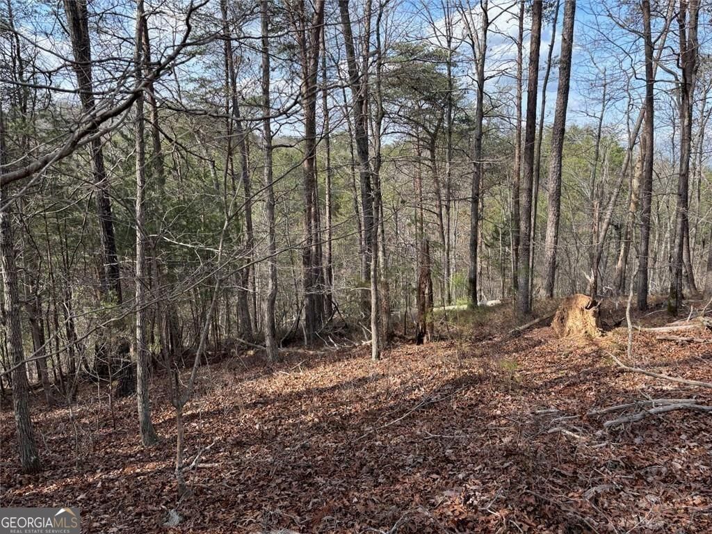292 Shirley Road SE Ranger GA 30734