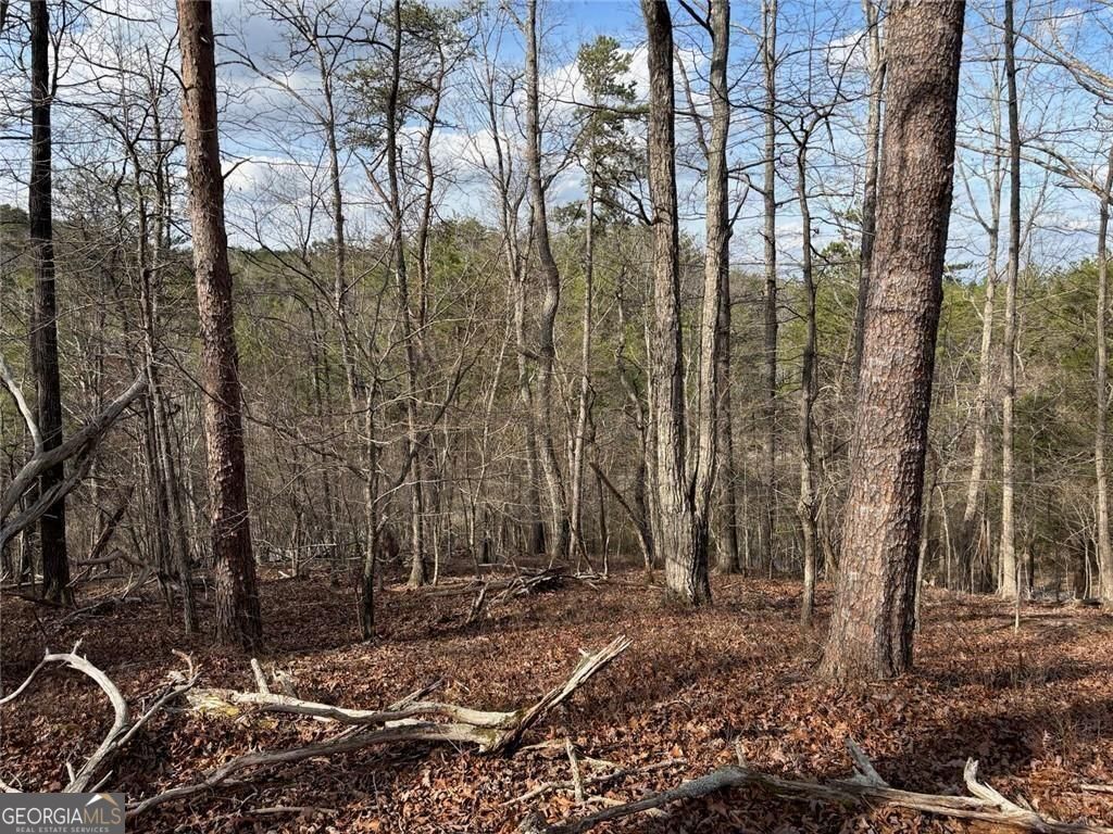 292 Shirley Road SE Ranger GA 30734