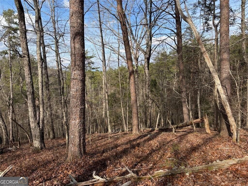 292 Shirley Road SE Ranger GA 30734