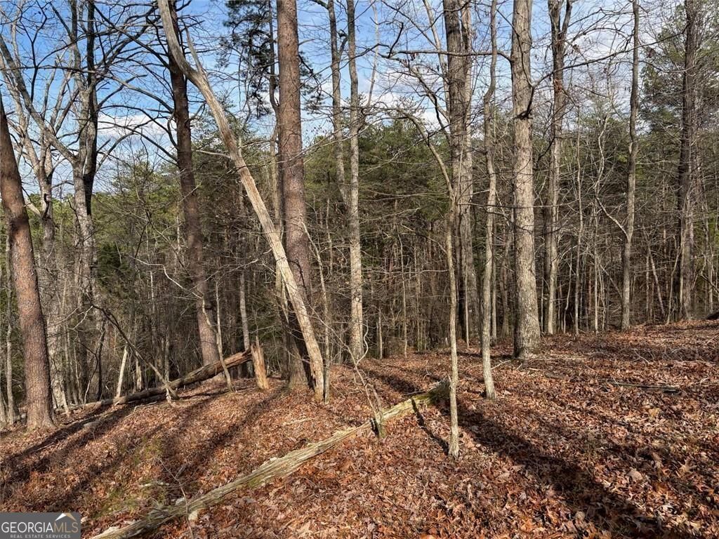 292 Shirley Road SE Ranger GA 30734
