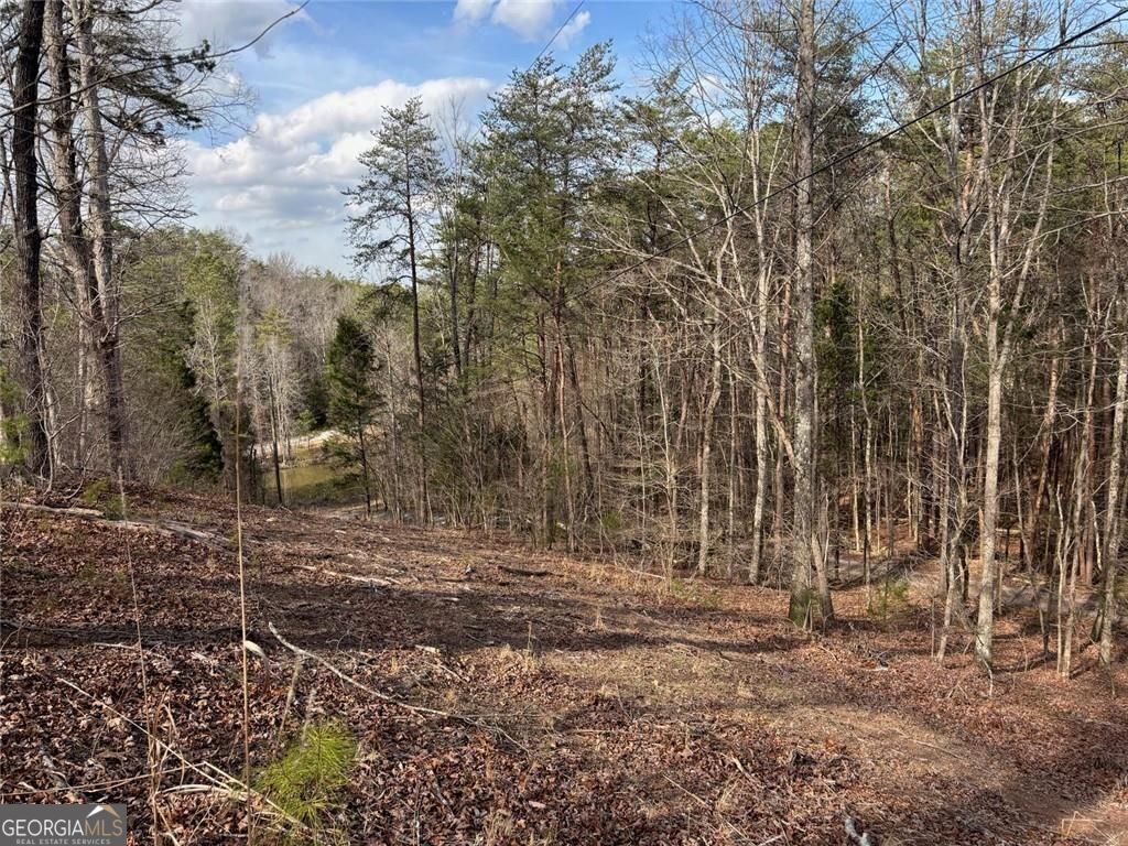 292 Shirley Road SE Ranger GA 30734
