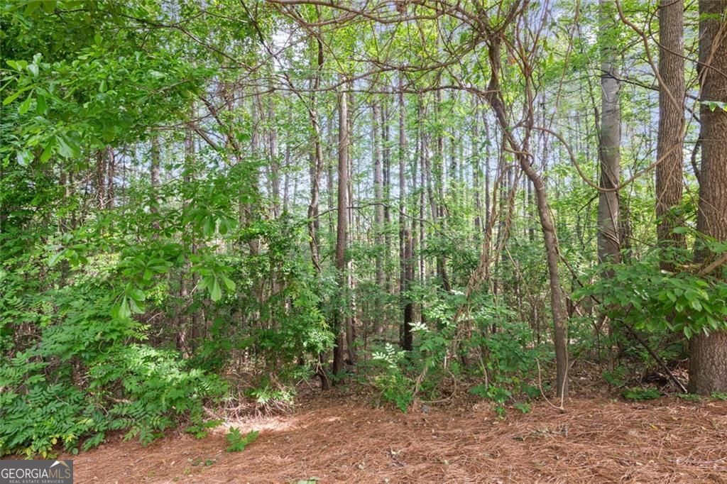 138 Bellehaven Drive Woodstock GA 30188