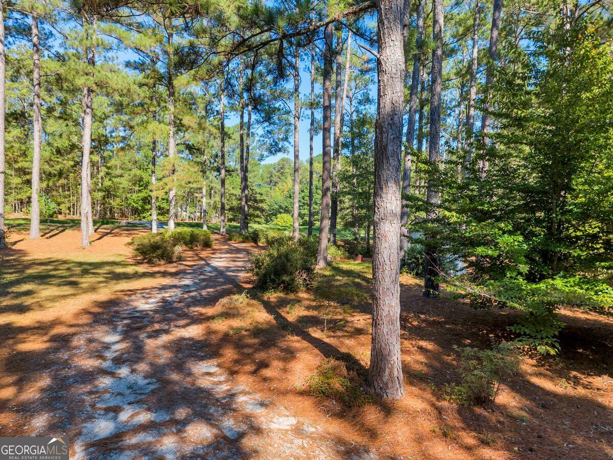 6620 New Hope Road Milner GA 30257