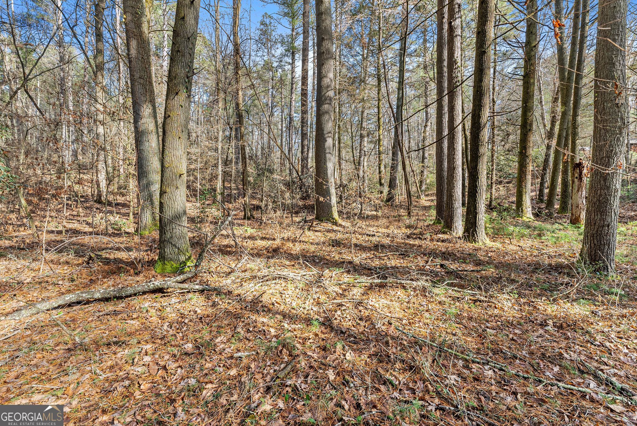 1036 Soque Wilderness Road Clarkesville GA 30523